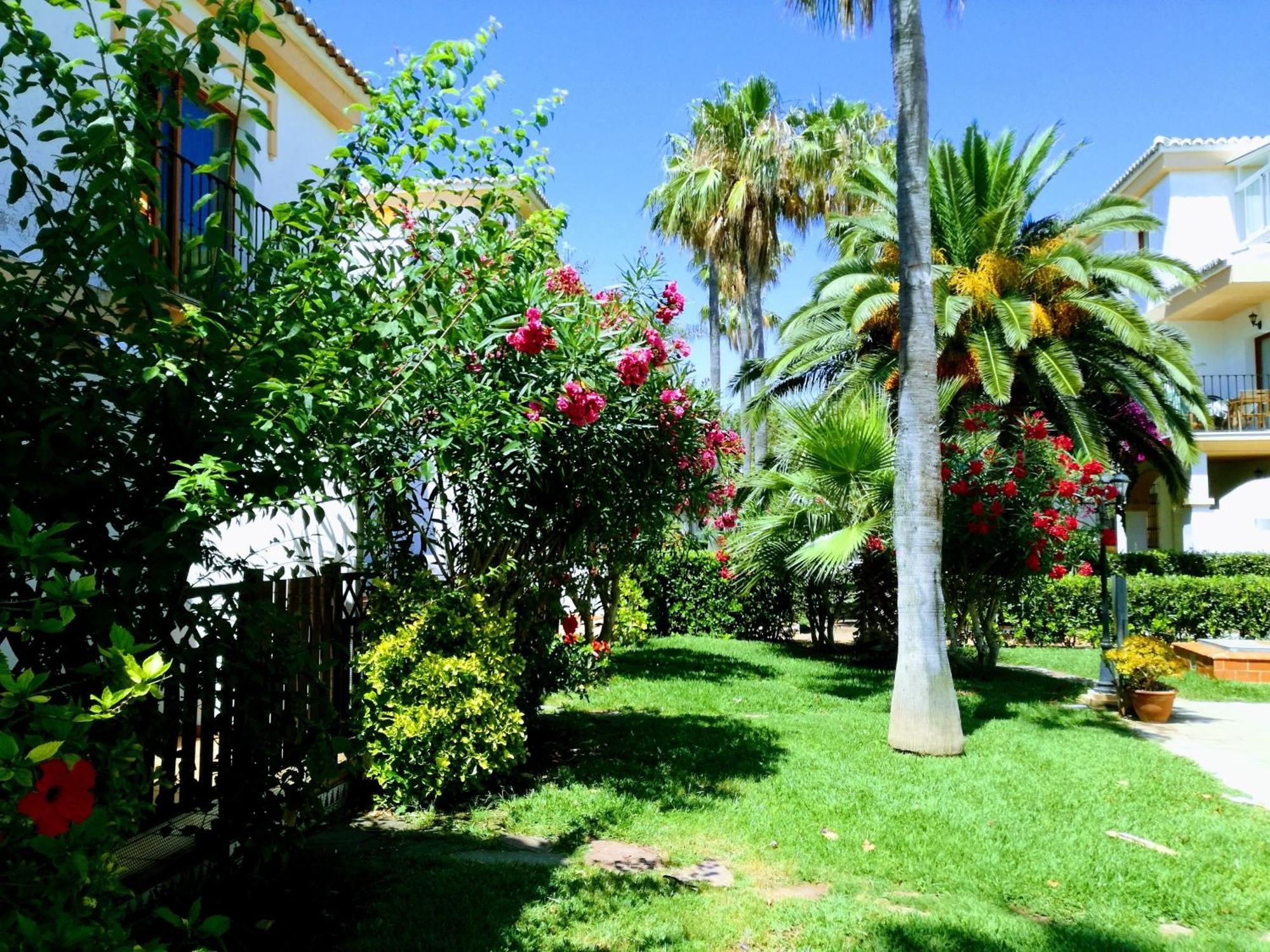 Planta Baja Con Porche Y Piscina, Cerca Del Mar Apartment Denia Ngoại thất bức ảnh